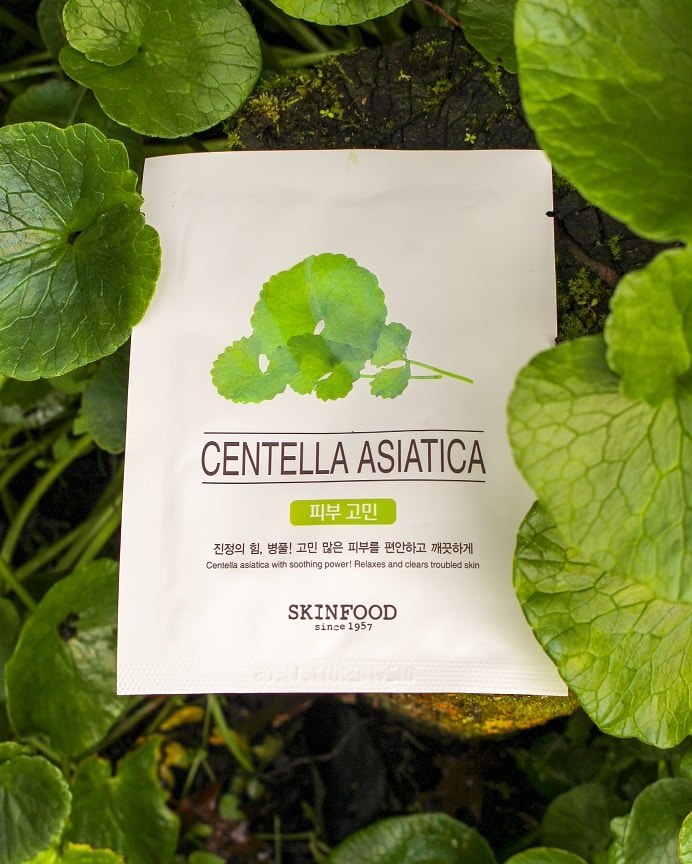 Ingredient Spotlight: Centella Asiatica