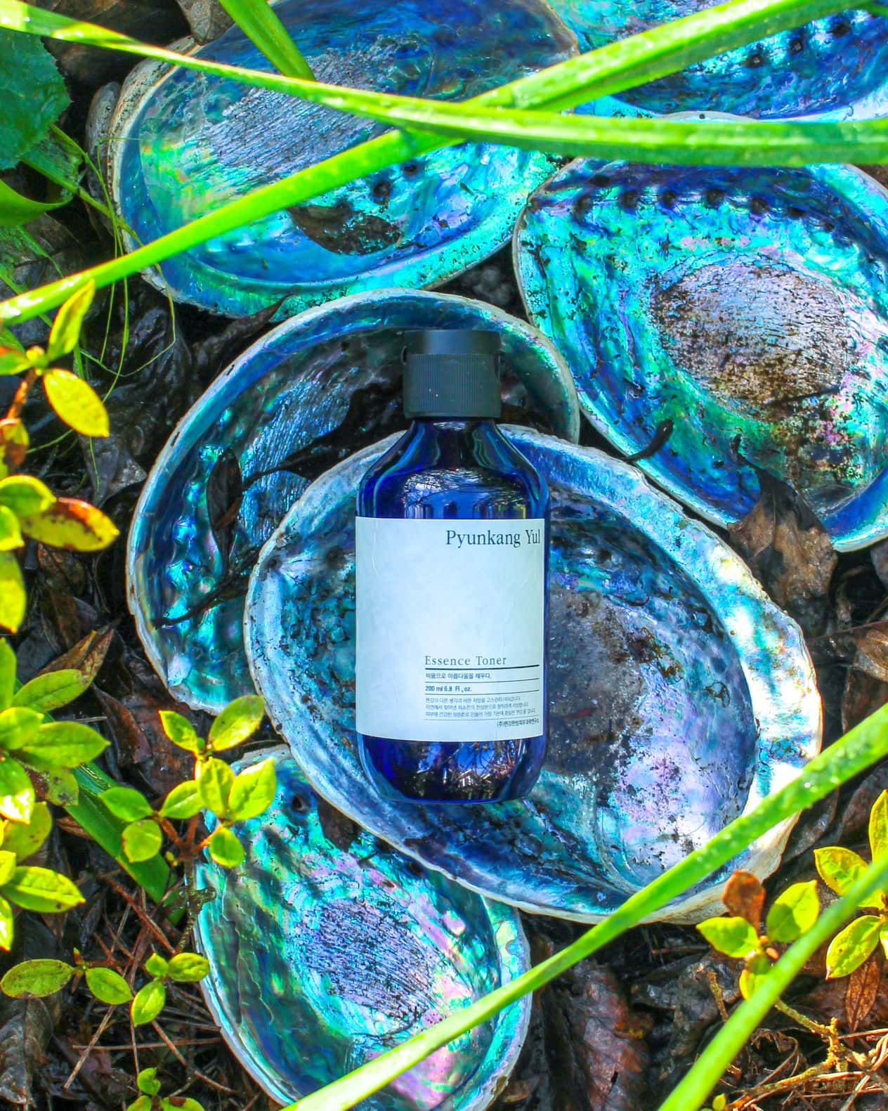 Pyunkang Yul Essence Toner – Review