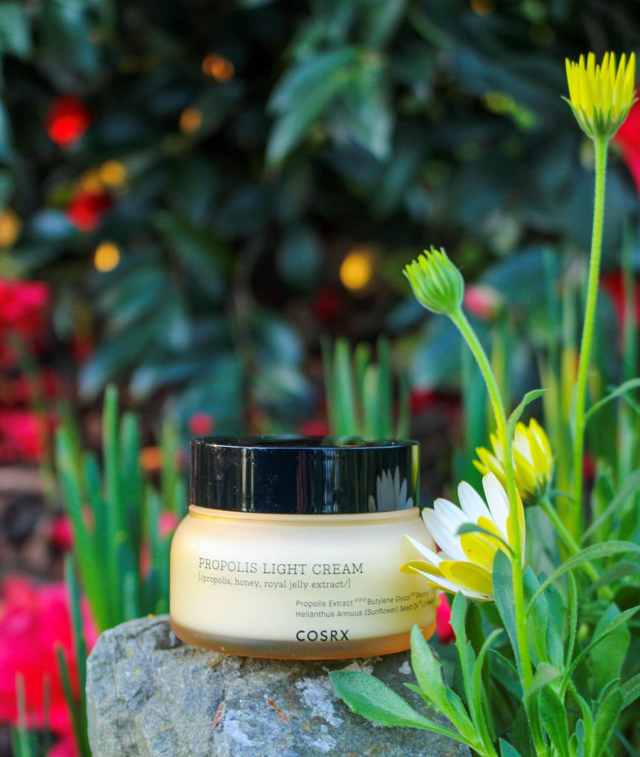 Cosrx Propolis Light Cream – Review