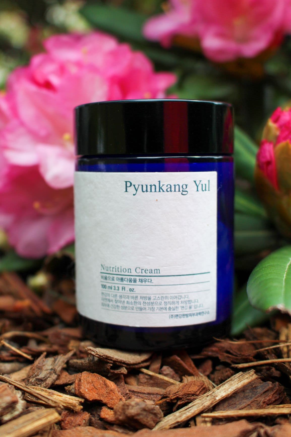 Pyunkang Yul Nutrition Cream – Review