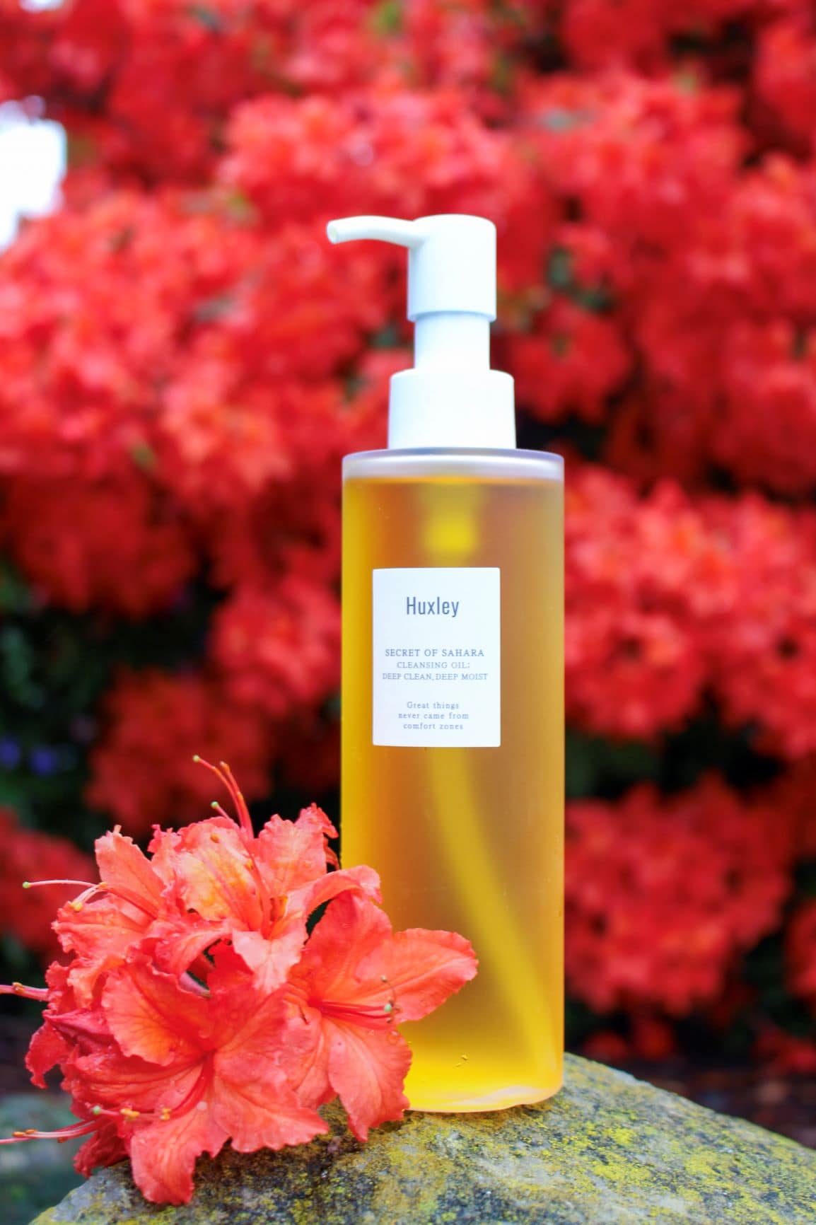 Huxley Secret of Sahara Cleansing Oil – Review