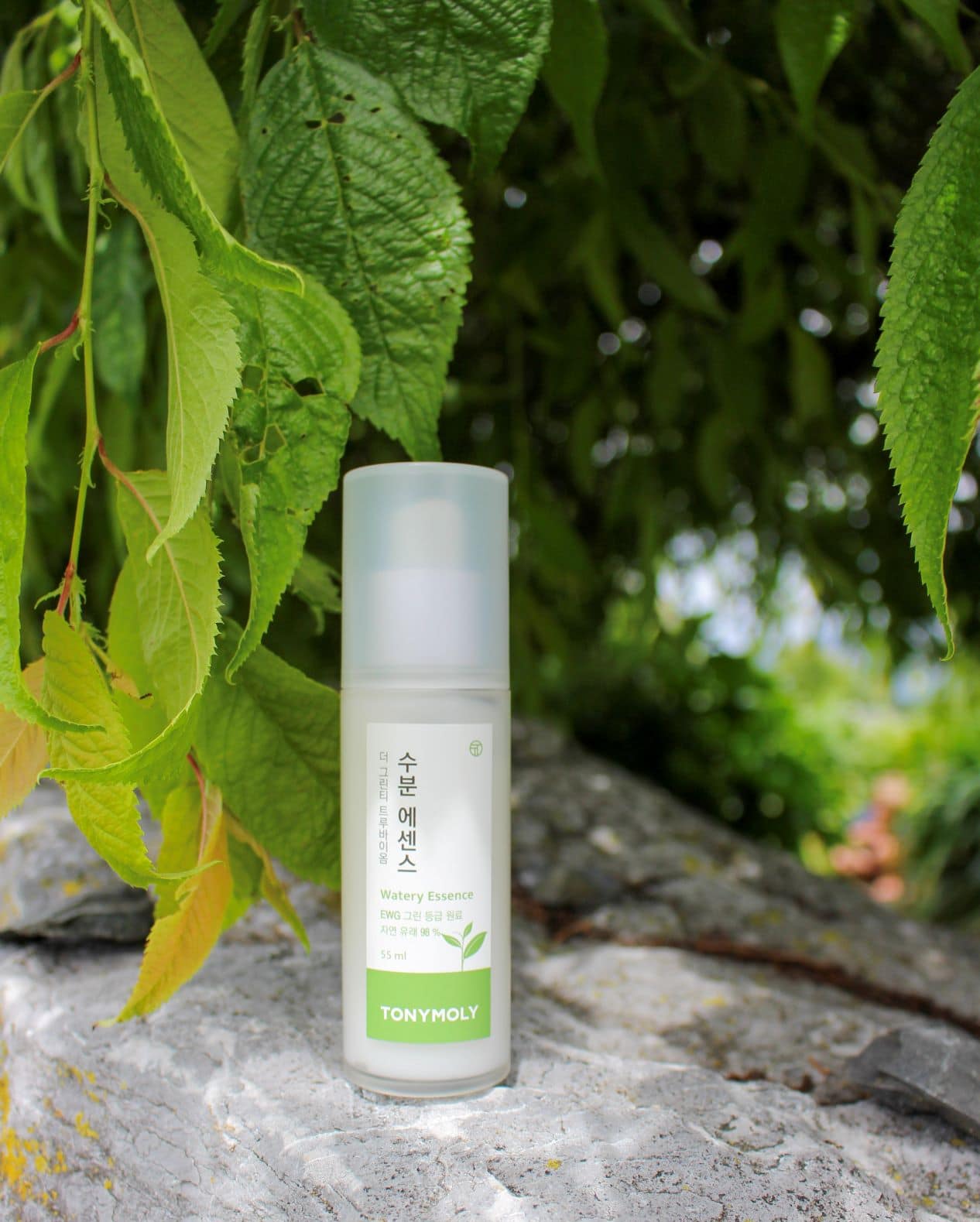 TONYMOLY The Green Tea True Biome Watery Essence – Review