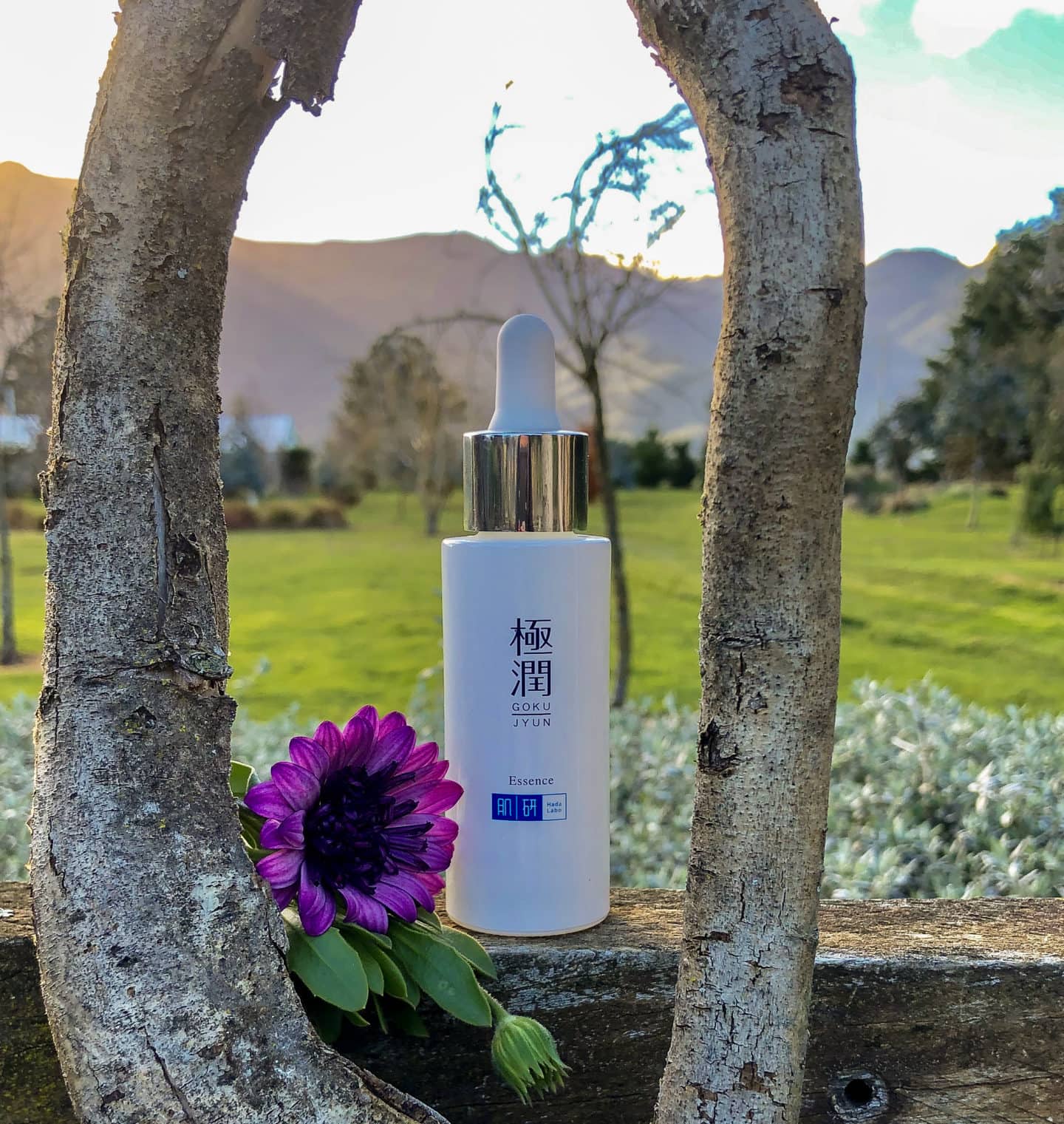 Hada Labo Goku Jyun Hydrating Essence – Review