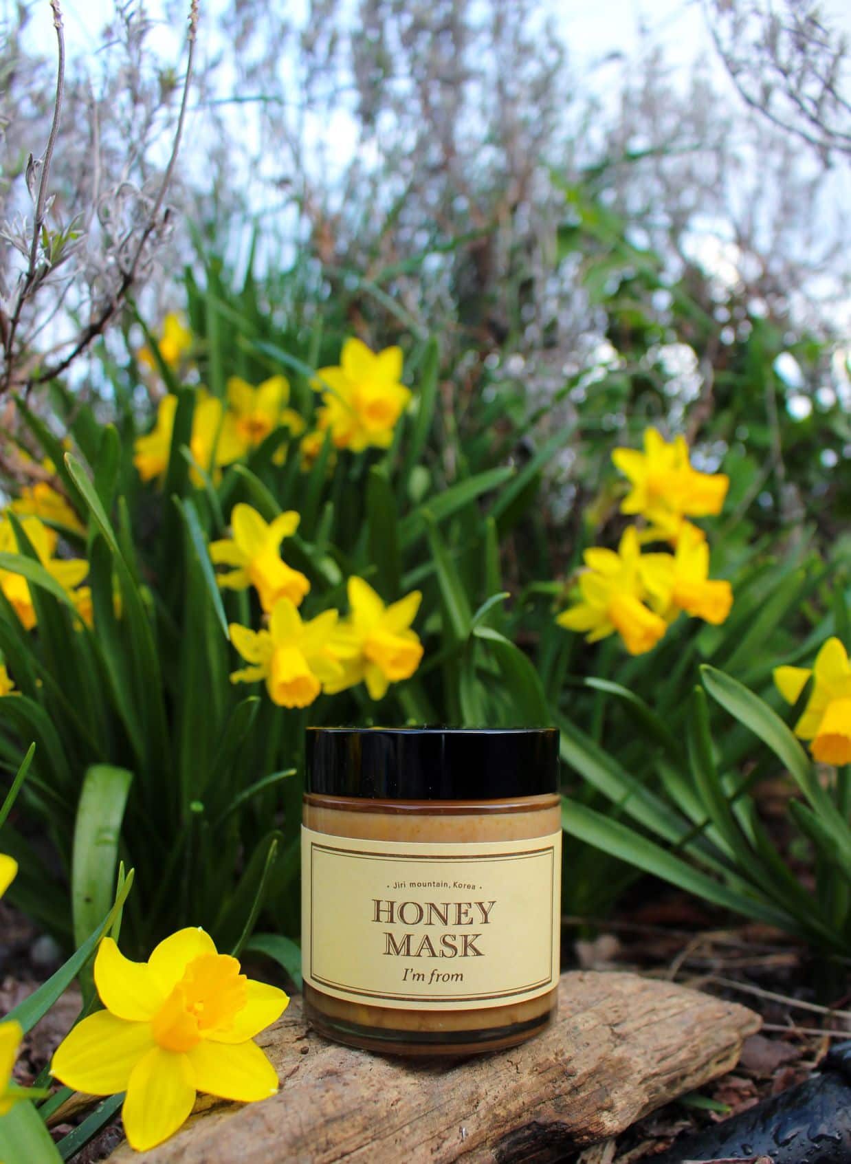 I’m From Honey Mask – Review