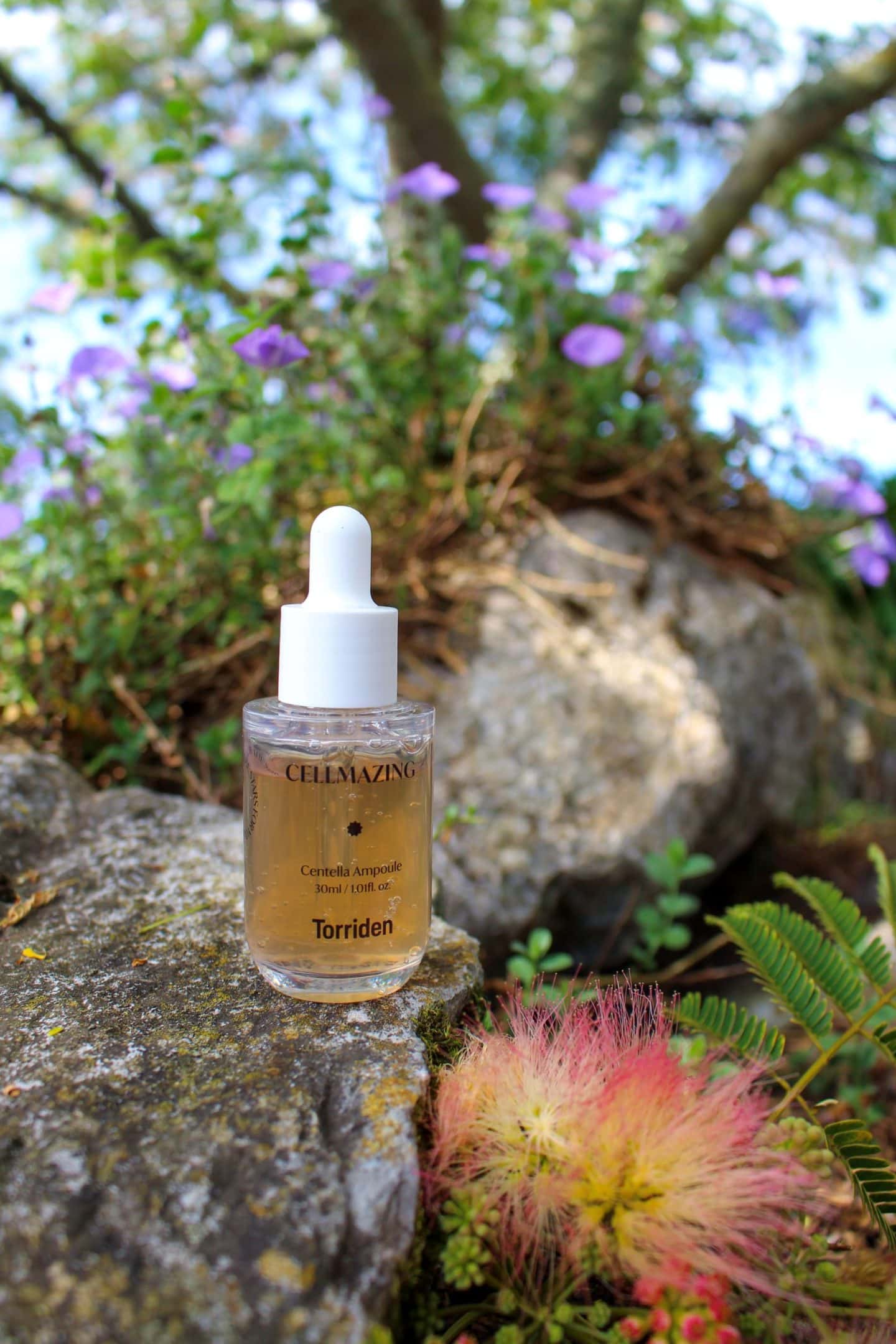 Torriden Cellmazing Centella Ampoule – Review