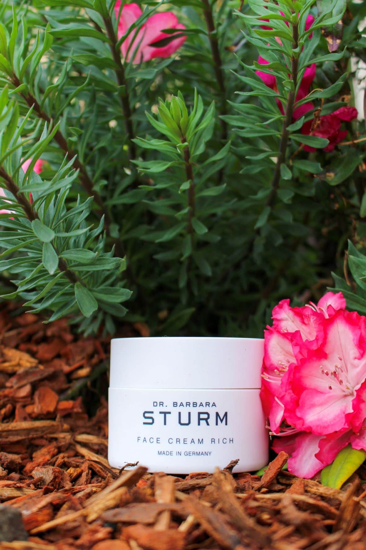 Dr Barbara Sturm Face Cream Rich Review